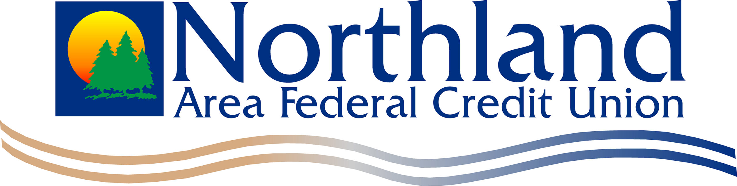 2019NAFCU_Use